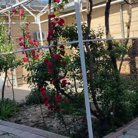 Hostel Muborak Samarkanda Zewnętrze zdjęcie