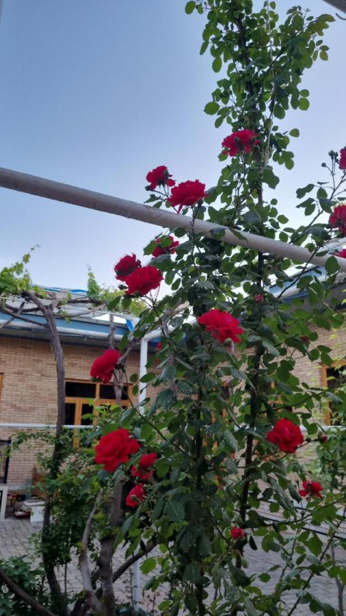 Hostel Muborak Samarkanda Zewnętrze zdjęcie