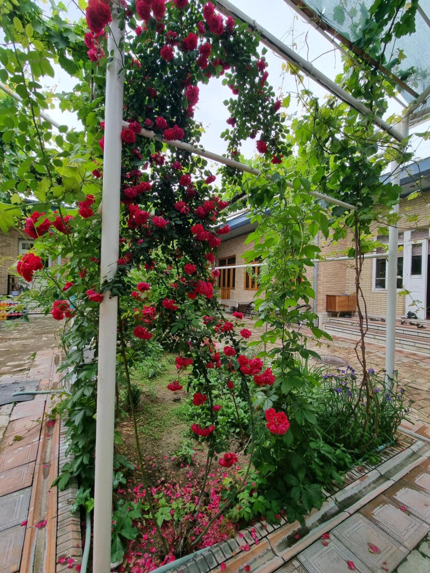 Hostel Muborak Samarkanda Zewnętrze zdjęcie