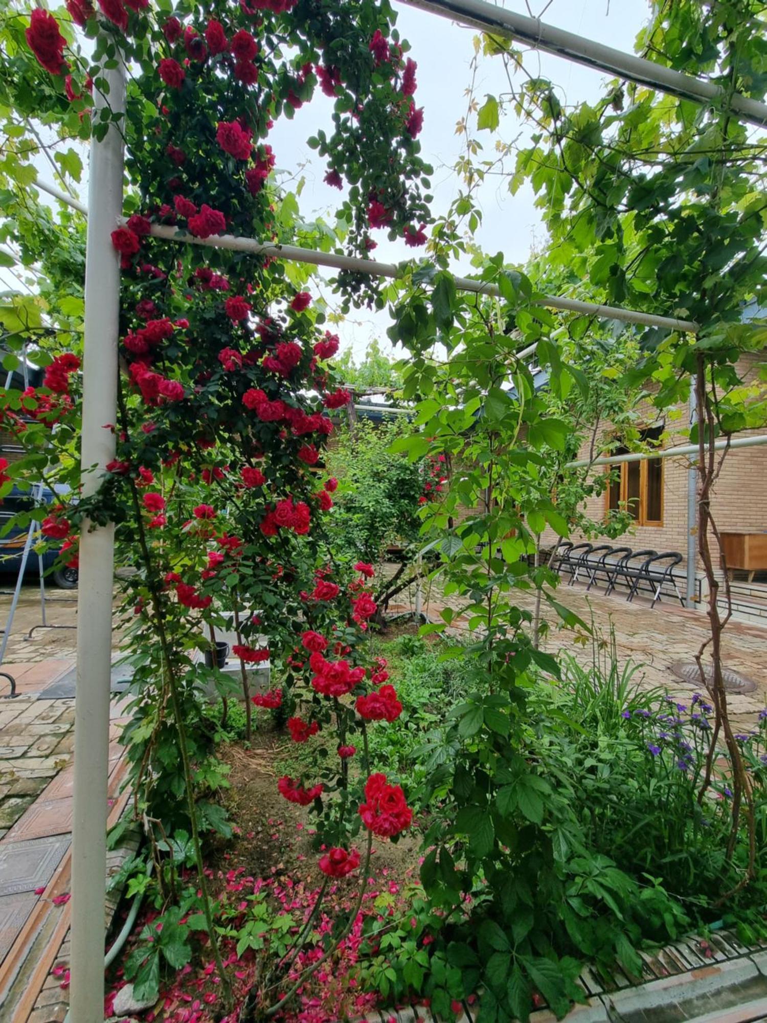 Hostel Muborak Samarkanda Zewnętrze zdjęcie